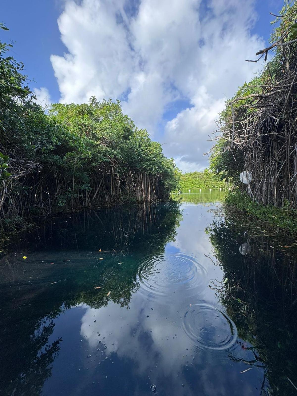 Cabanas Tulum - Aldea Mangle & Cenote Buitenkant foto