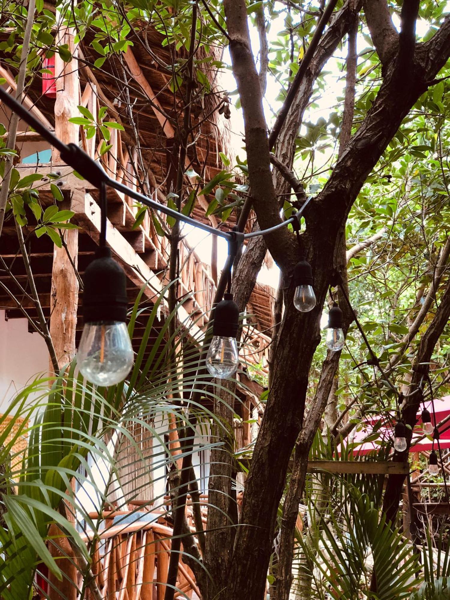 Cabanas Tulum - Aldea Mangle & Cenote Buitenkant foto