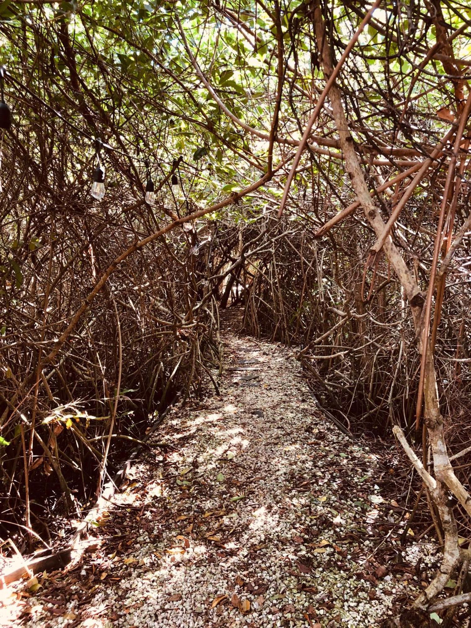 Cabanas Tulum - Aldea Mangle & Cenote Buitenkant foto