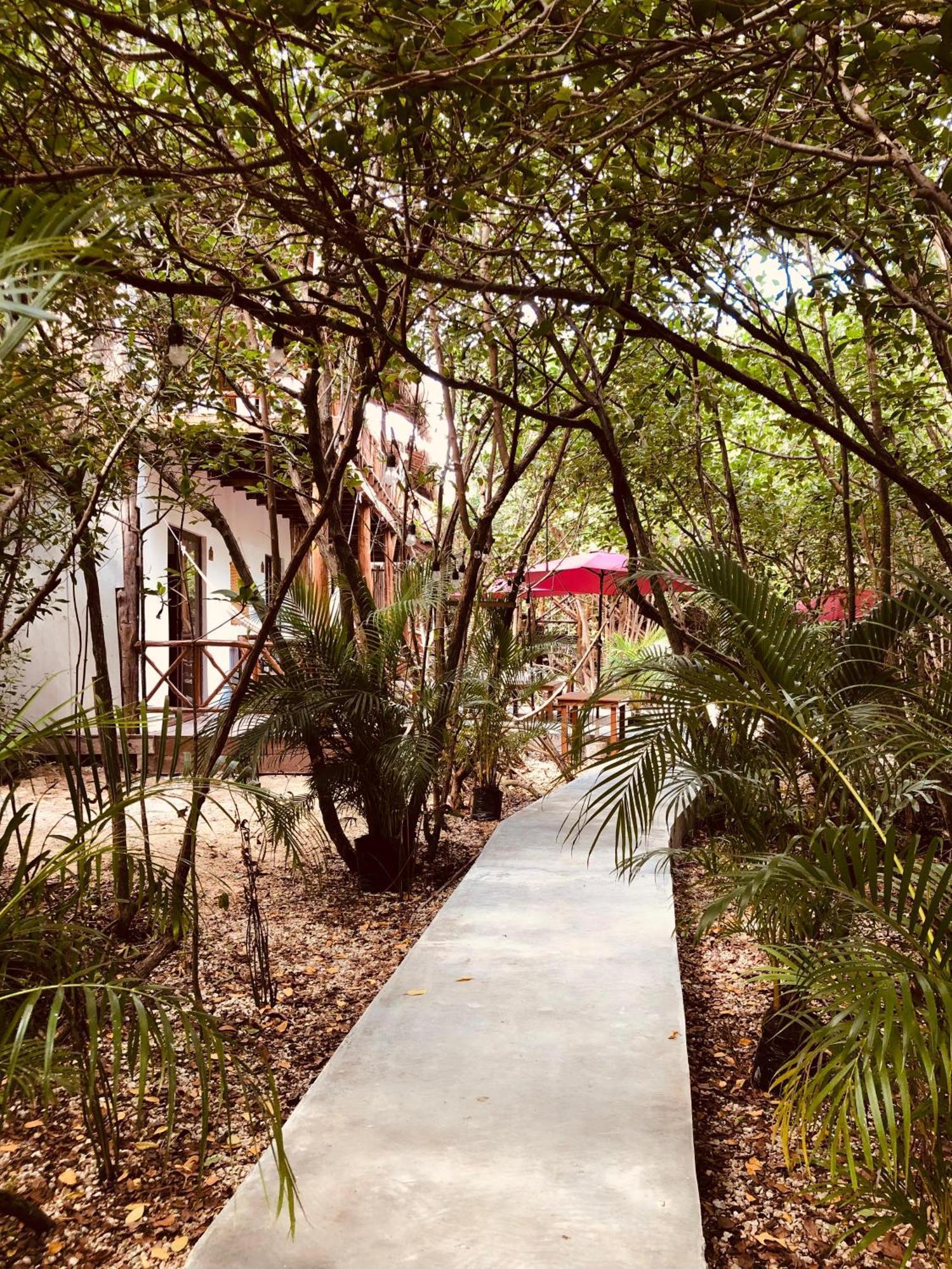 Cabanas Tulum - Aldea Mangle & Cenote Buitenkant foto