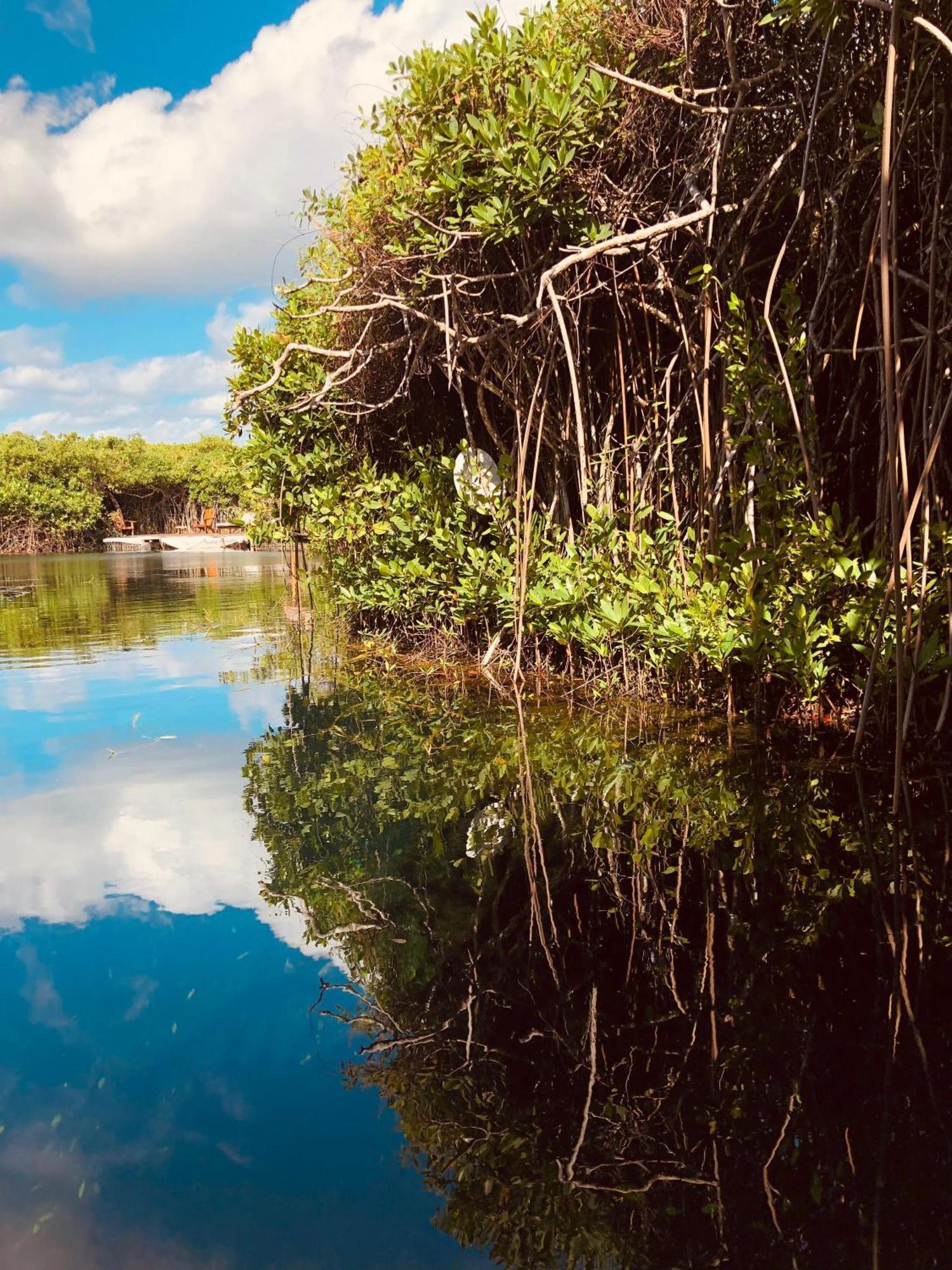 Cabanas Tulum - Aldea Mangle & Cenote Buitenkant foto