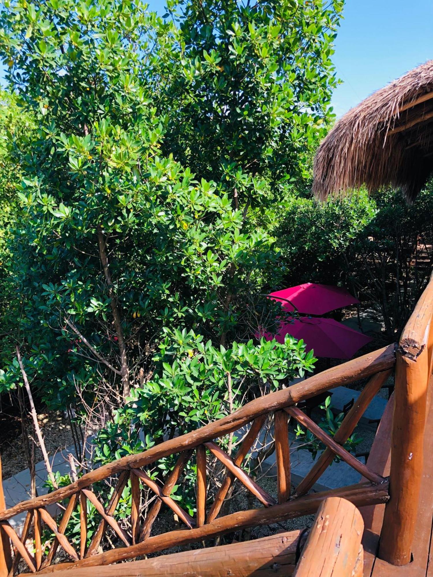 Cabanas Tulum - Aldea Mangle & Cenote Buitenkant foto
