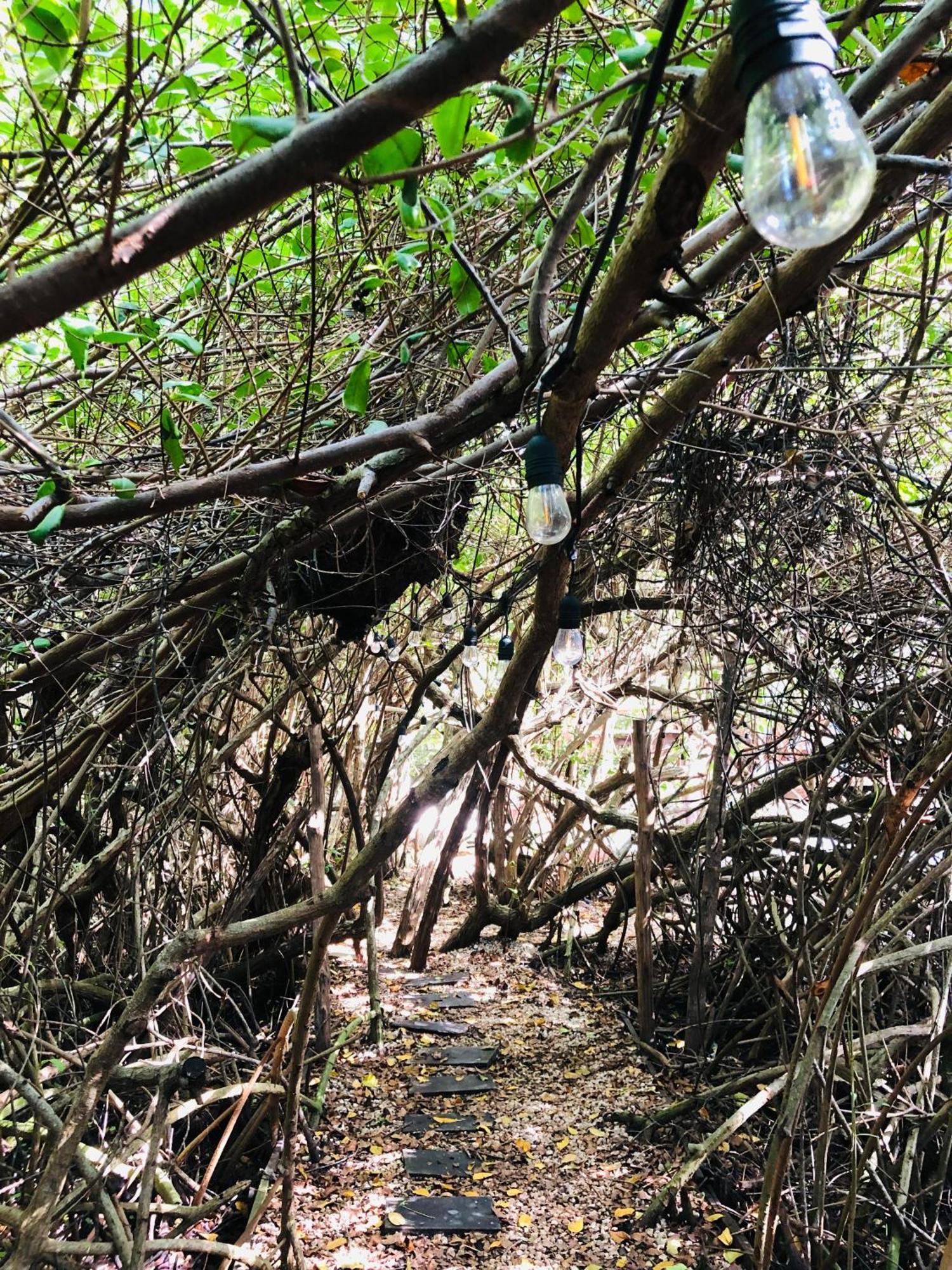 Cabanas Tulum - Aldea Mangle & Cenote Buitenkant foto